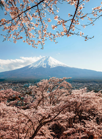 A.S. Création Vlies Fototapete Kirschblüte Mount Fuji in Japan DD119173 Berge