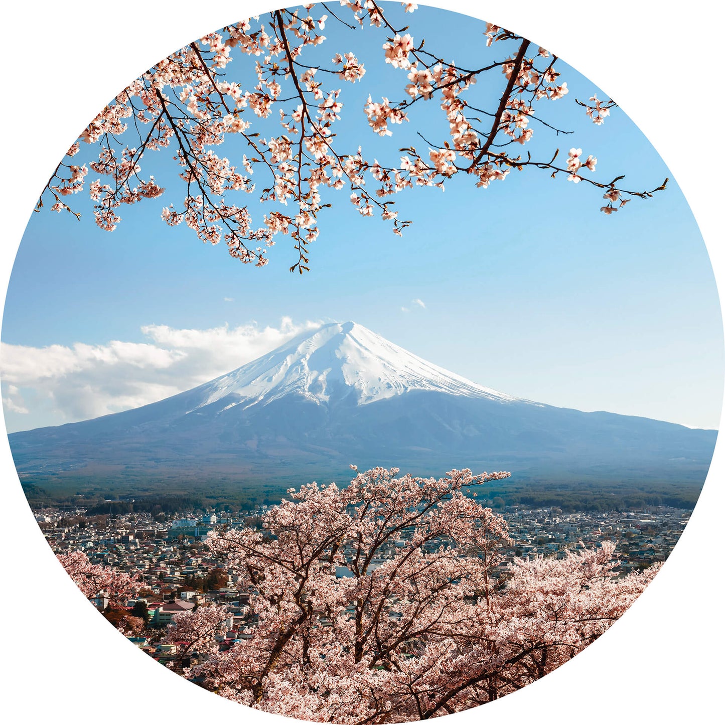 A.S. Création Vlies Fototapete Kirschblüte Rosa Mount Fuji in Japan DD119200