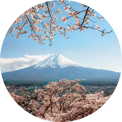 A.S. Création Vlies Fototapete Kirschblüte Rosa Mount Fuji in Japan DD119200
