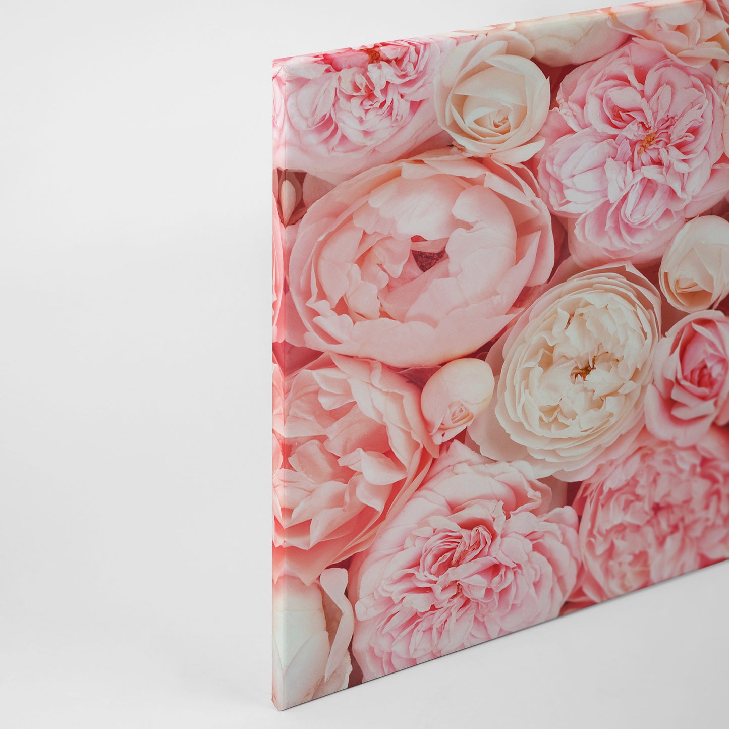 Rosen Leinwandbild Rosa 90x60 DD120257 Keilrahmenbild Blumen Wandbild Floral