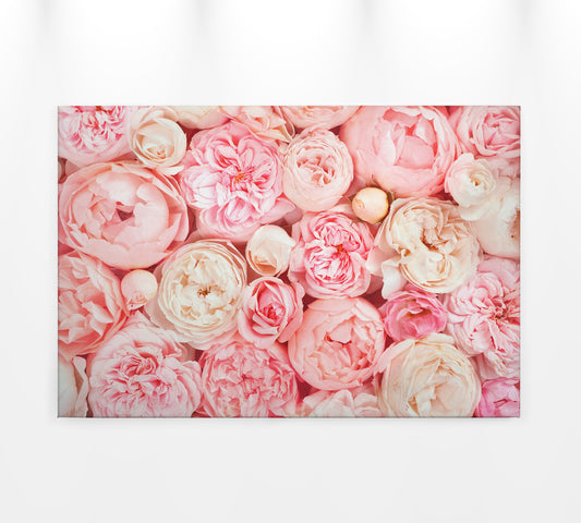 Rosen Leinwandbild Rosa 90x60 DD120257 Keilrahmenbild Blumen Wandbild Floral