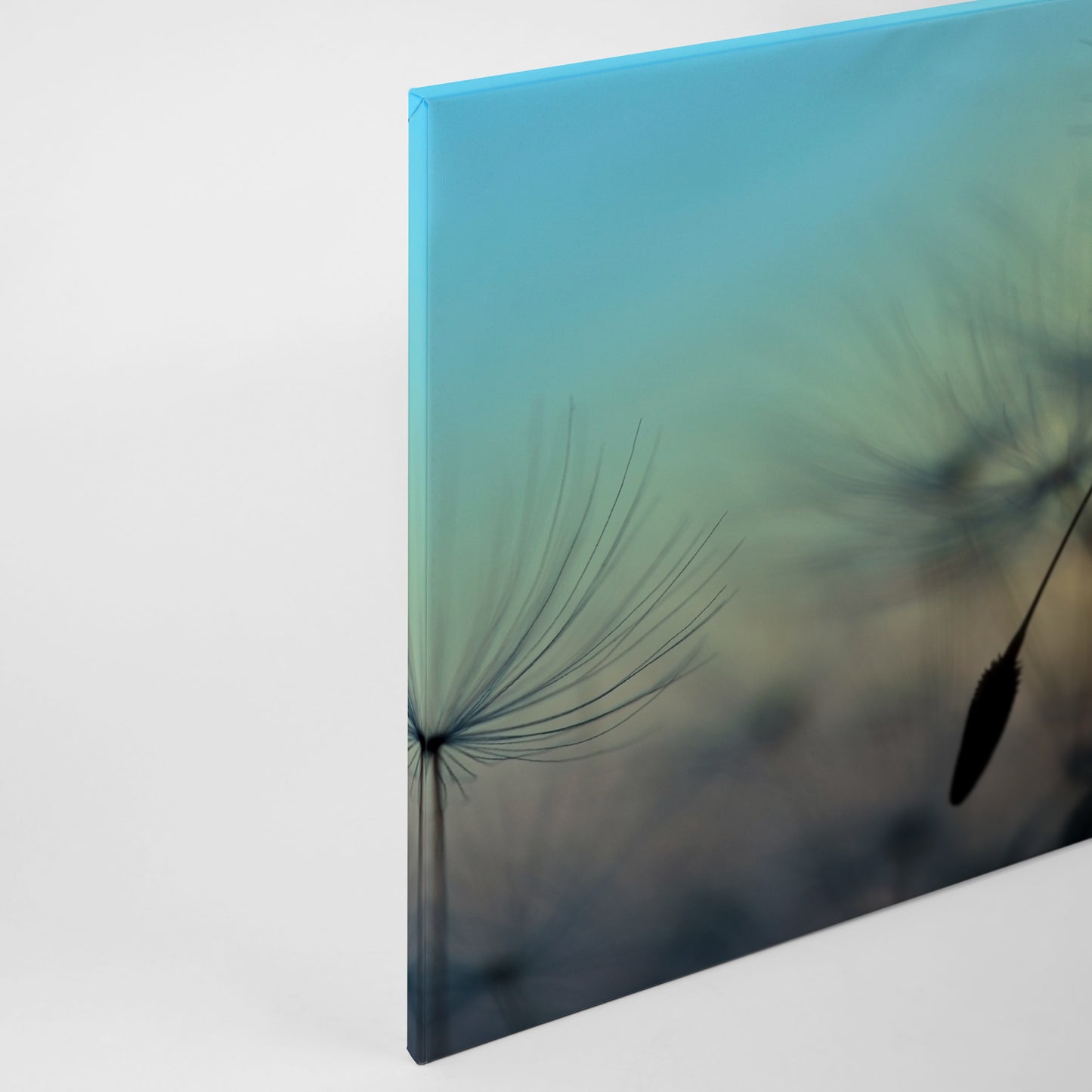 Löwenzahn Leinwandbild 90x60 DD120284 Keilrahmenbild Wandbild Gelb Blau Natur