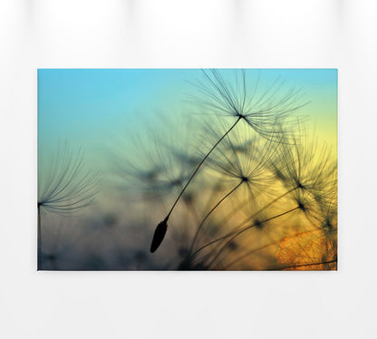 Löwenzahn Leinwandbild 90x60 DD120284 Keilrahmenbild Wandbild Gelb Blau Natur