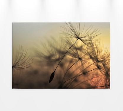 Löwenzahn Leinwandbild Orange 90x60 DD120285 Wandbild Leinwand Natur Gelb