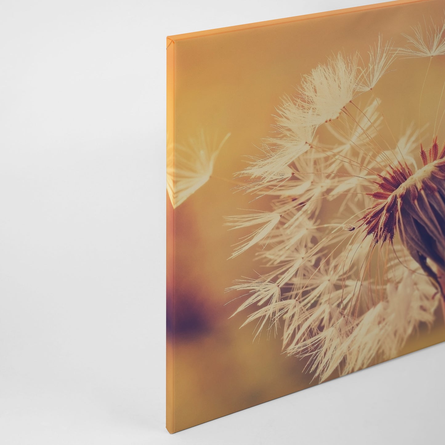 Löwenzahn Leinwandbild 90x60 DD120286 Keilrahmen Wandbild Orange Gelb Leinwand