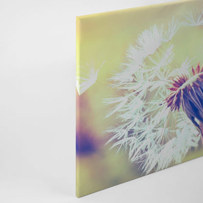 Löwenzahn Leinwandbild Weiß 90x60 DD120287 Wandbild Natur Gelb Keilrahmen