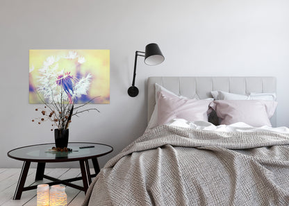 Löwenzahn Leinwandbild Weiß 90x60 DD120287 Wandbild Natur Gelb Keilrahmen