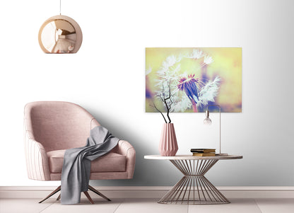 Löwenzahn Leinwandbild Weiß 90x60 DD120287 Wandbild Natur Gelb Keilrahmen