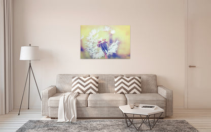 Löwenzahn Leinwandbild Weiß 90x60 DD120287 Wandbild Natur Gelb Keilrahmen