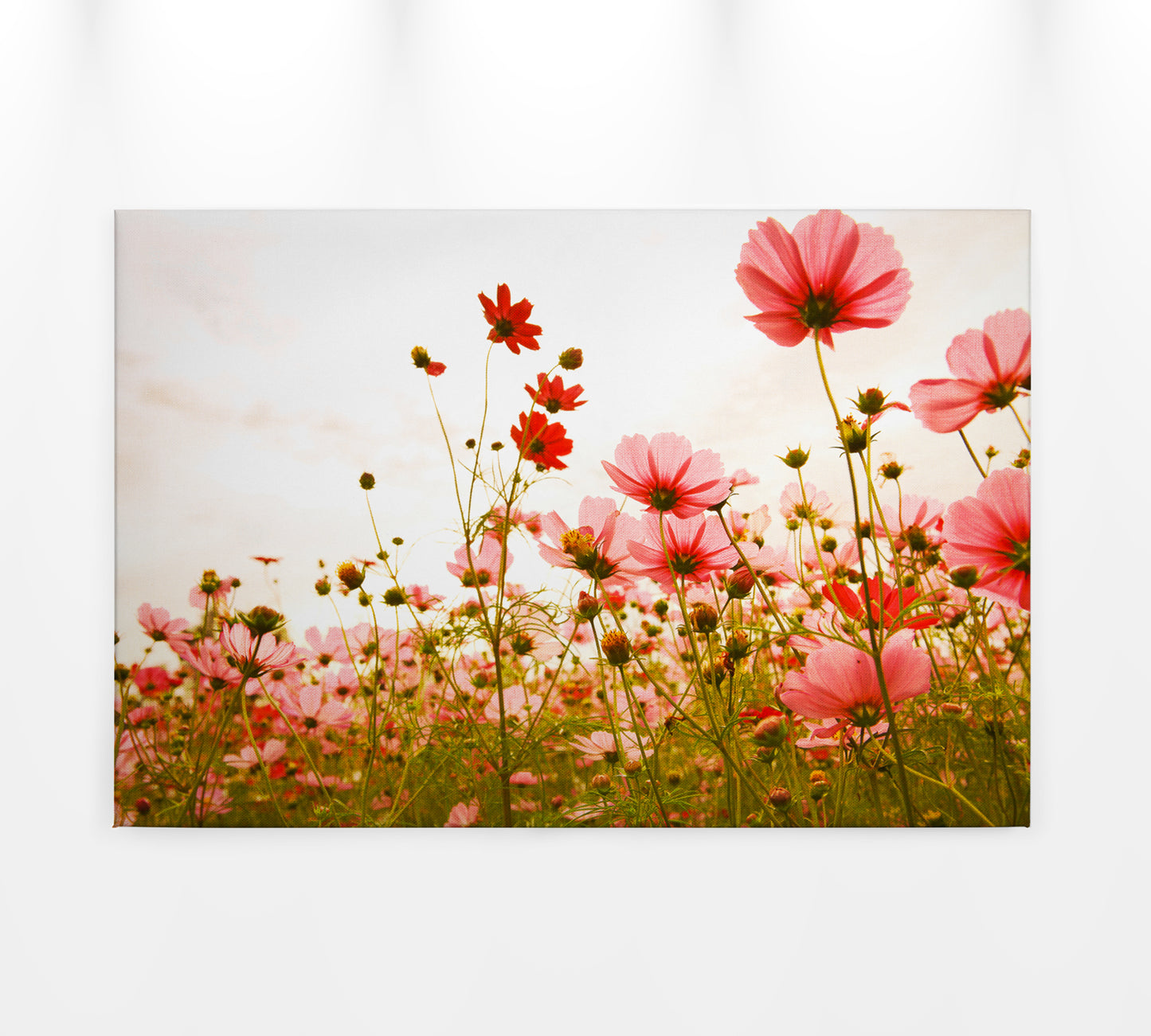 Blumenwiese Leinwandbild Rot Grün 90x60 DD120288 Wandbild Leinwand Natur Floral