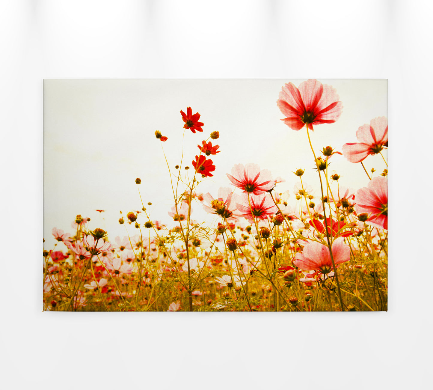 Blumenwiese Leinwandbild 90x60 DD120289 Keilrahmen Wandbild Rot Grün Floral