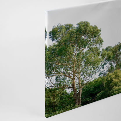 Baumwipfel Leinwandbild Grün Weiß 90x60 DD120290 Keilrahmen Wandbild Leinwand