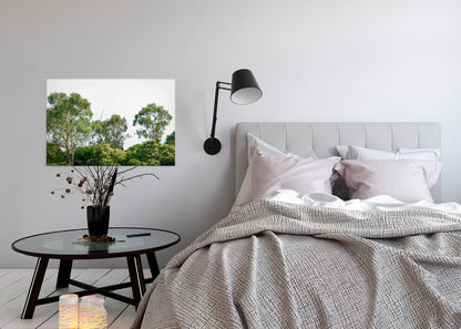 Baumwipfel Leinwandbild Grün Weiß 90x60 DD120290 Keilrahmen Wandbild Leinwand