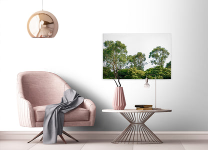 Baumwipfel Leinwandbild Grün Weiß 90x60 DD120290 Keilrahmen Wandbild Leinwand