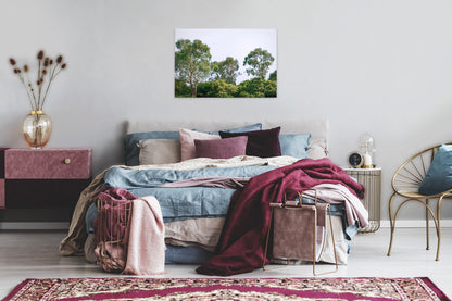 Baumwipfel Leinwandbild Grün Weiß 90x60 DD120290 Keilrahmen Wandbild Leinwand