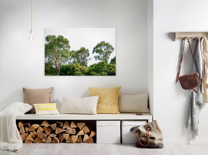 Baumwipfel Leinwandbild Grün Weiß 90x60 DD120290 Keilrahmen Wandbild Leinwand