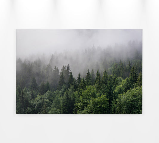 Wald im Nebel Leinwandbild Grün Weiß 90x60 DD120291 Keilrahmenbild Wandbild