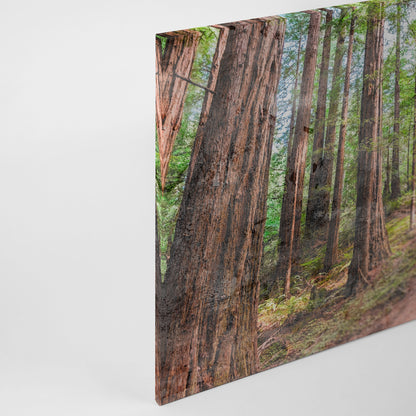 Leinwandbild Wald Pfad Grün Braun 90x60 DD120304 Keilrahmen Wandbild Leinwand
