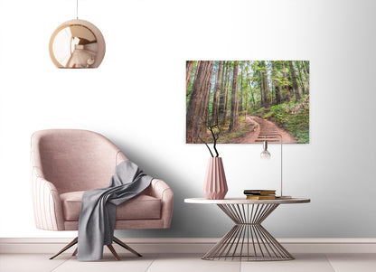 Leinwandbild Wald Pfad Grün Braun 90x60 DD120304 Keilrahmen Wandbild Leinwand