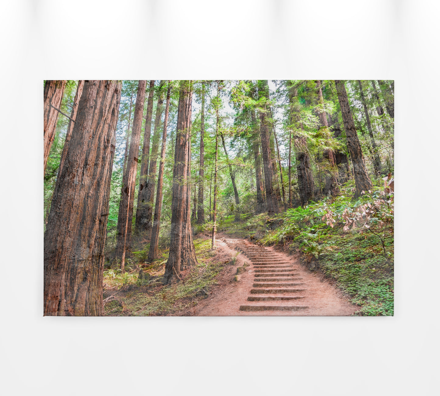 Leinwandbild Wald Pfad Grün Braun 90x60 DD120304 Keilrahmen Wandbild Leinwand