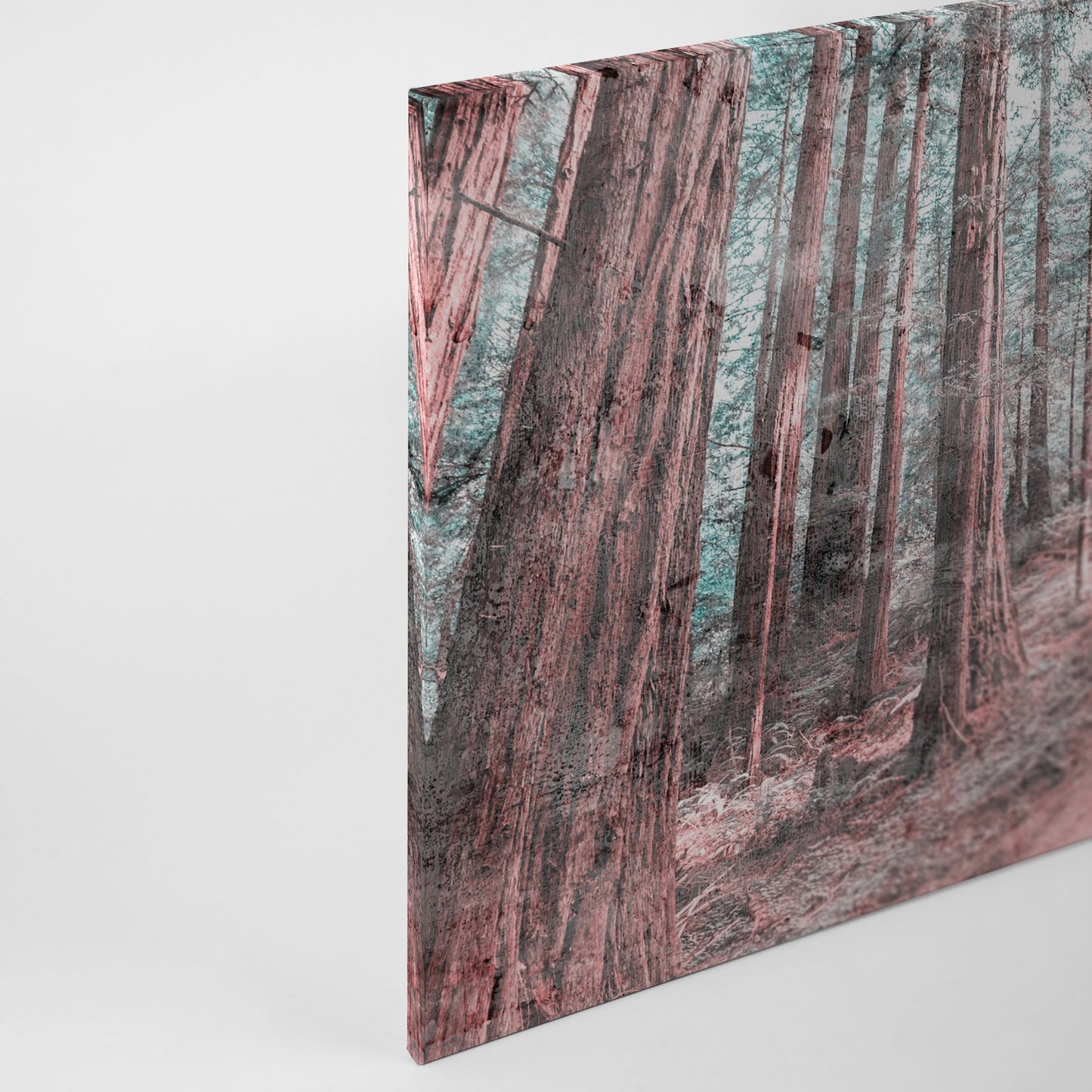Leinwandbild Pfad Wald Braun Grün 90x60 DD120305 Keilrahmen Wandbild Leinwand