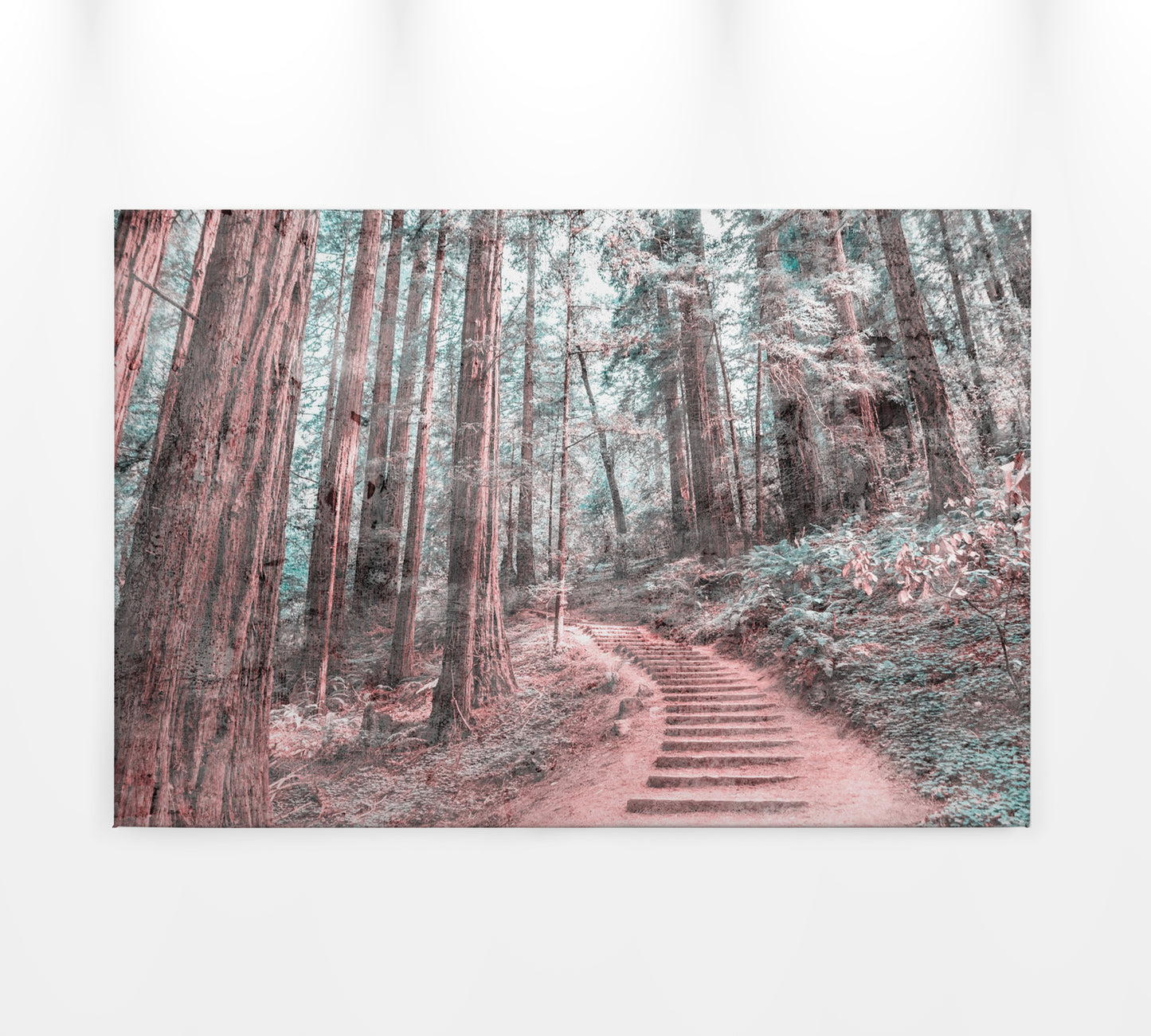 Leinwandbild Pfad Wald Braun Grün 90x60 DD120305 Keilrahmen Wandbild Leinwand