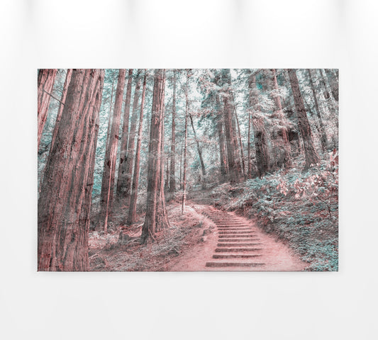 Leinwandbild Pfad Wald Braun Grün 90x60 DD120305 Keilrahmen Wandbild Leinwand