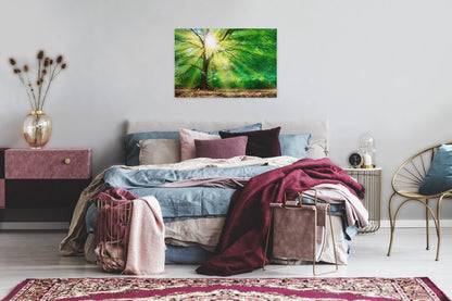 Leinwandbild Baum Sonnenstrahlen Grün Braun 90x60 DD120310 Keilrahmen Wandbild