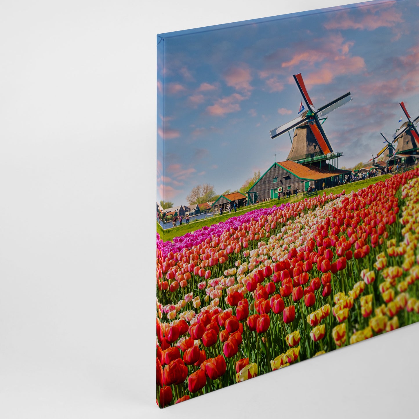 Leinwandbild Tulpenwiese Bunt 90x60 DD120334 Keilrahmenbild Wandbild Floral