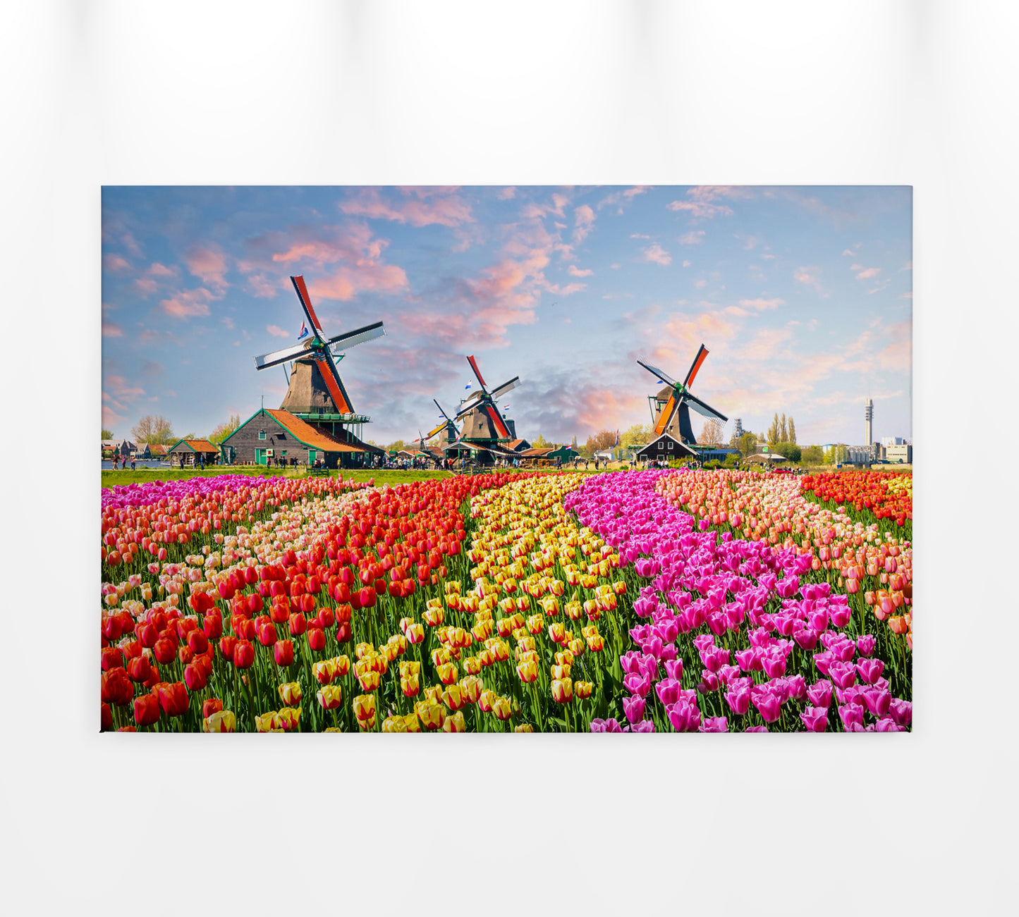 Leinwandbild Tulpenwiese Bunt 90x60 DD120334 Keilrahmenbild Wandbild Floral