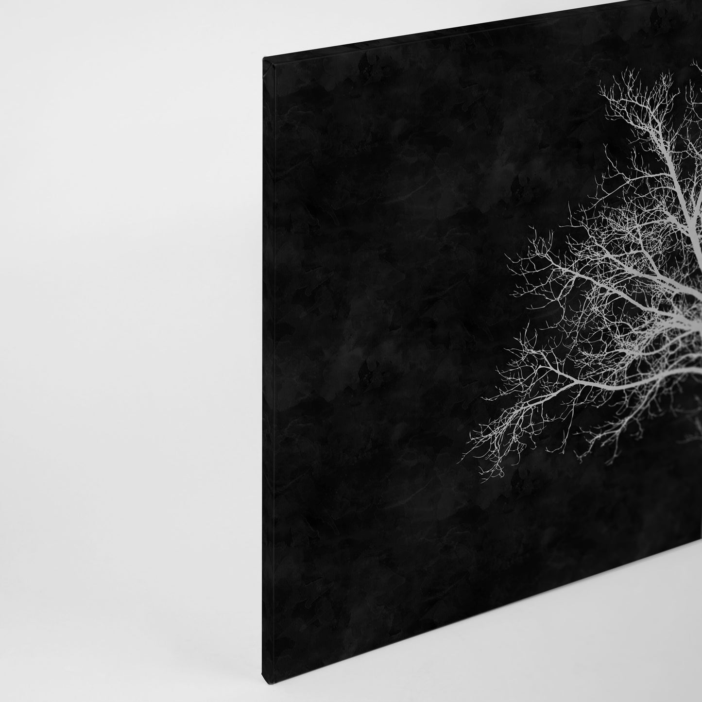 Baum Leinwandbild Schwarz Weiß 90x60 DD120358 Keilrahmenbild Wandbild Leinwand