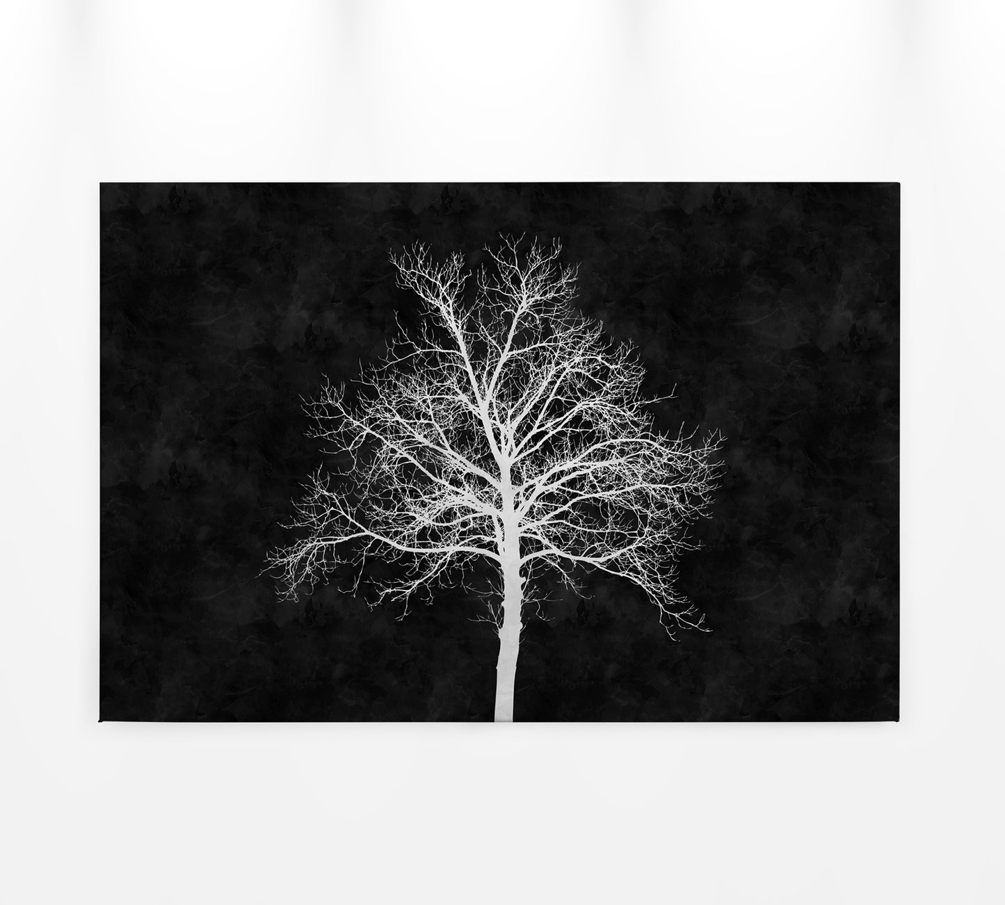 Baum Leinwandbild Schwarz Weiß 90x60 DD120358 Keilrahmenbild Wandbild Leinwand