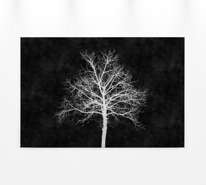 Baum Leinwandbild Schwarz Weiß 90x60 DD120358 Keilrahmenbild Wandbild Leinwand