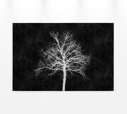 Baum Leinwandbild Schwarz Weiß 90x60 DD120358 Keilrahmenbild Wandbild Leinwand