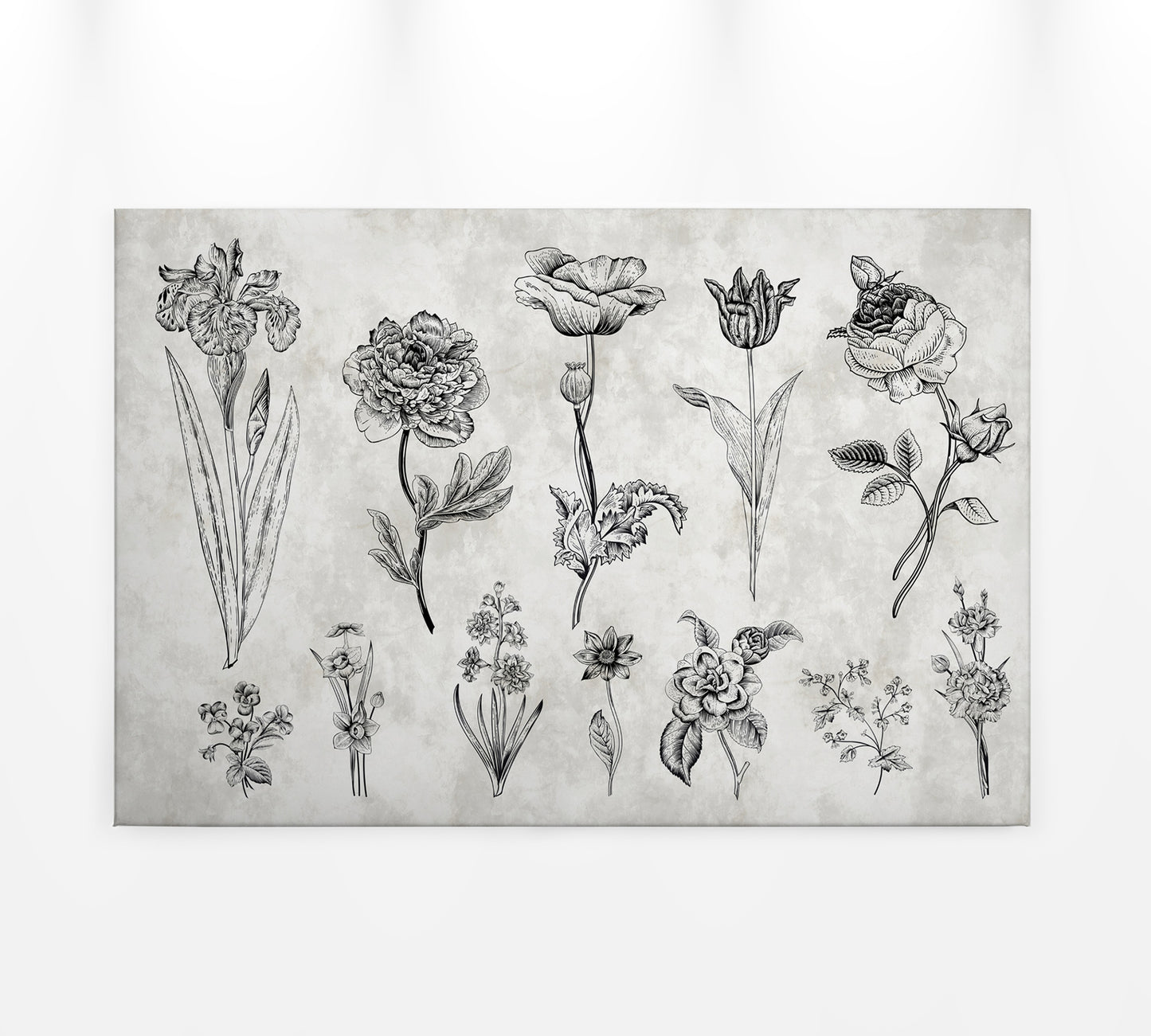 Leinwandbild Blumen Grau Schwarz 90x60 DD120364 Keilrahmen Wandbild Leinwand