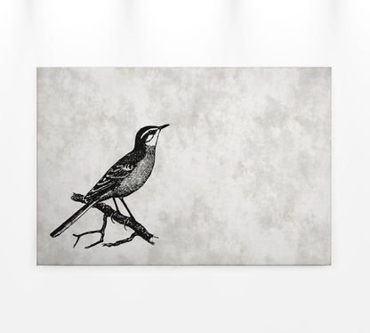 Leinwandbild Vogel Grau Schwarz 90x60 DD120366 Keilrahmenbild Wandbild Leinwand