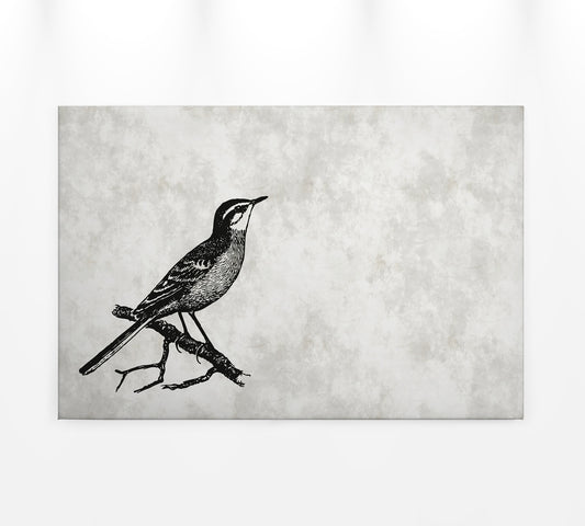 Leinwandbild Vogel Grau Schwarz 90x60 DD120366 Keilrahmenbild Wandbild Leinwand