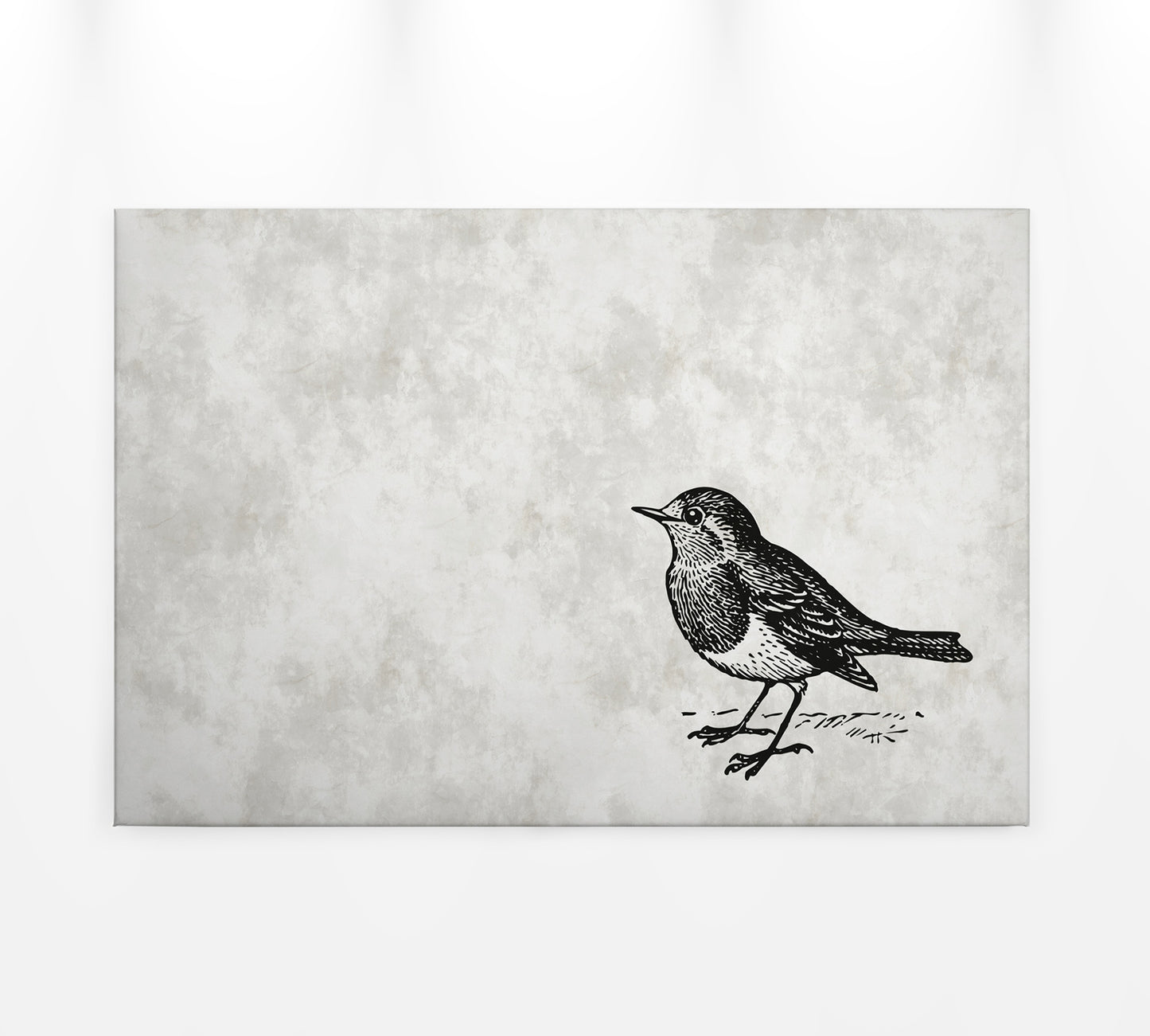 Leinwandbild Vogel Grau Schhwarz 90x60 DD120367 Keilrahmenbild Wandbild Leinwand