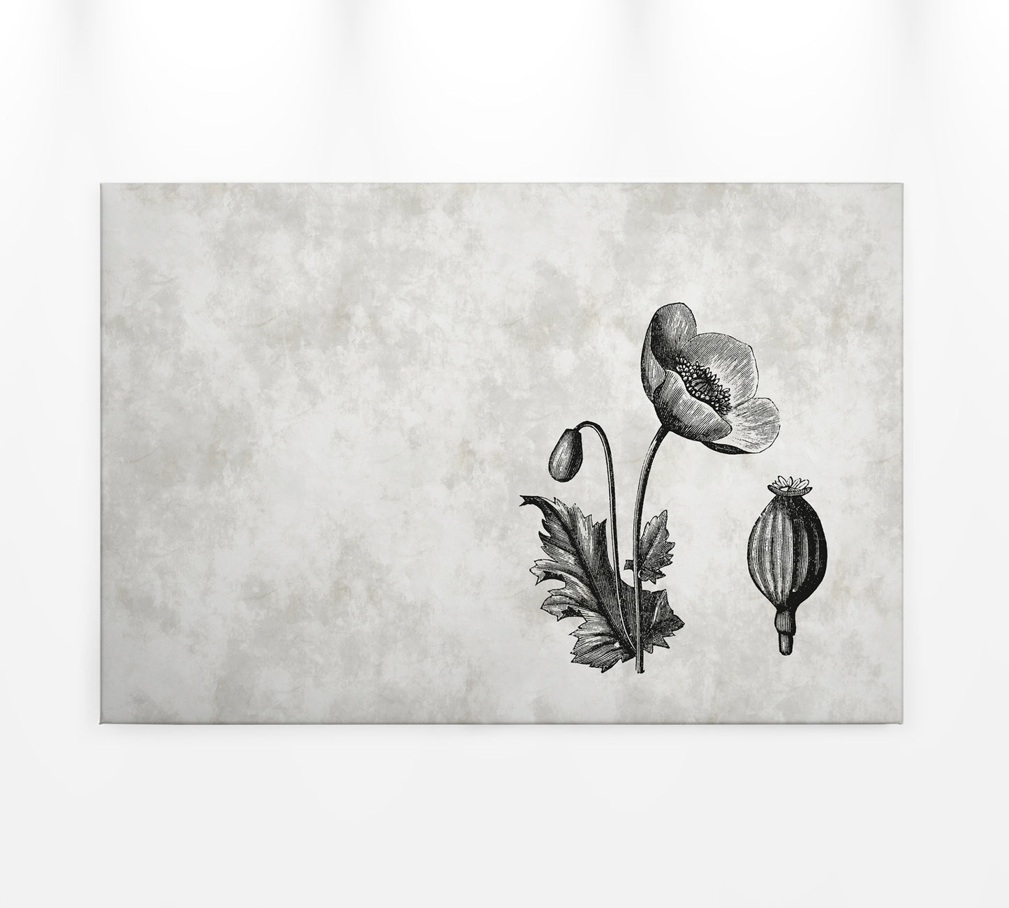 Leinwandbild Blume Grau Schwarz 90x60 DD120368 Keilrahmen Wandbild Leinwand