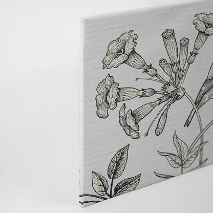 Leinwandbild Vogel Schwarz Weiß 90x60 DD120372 Keilrahmenbild Wandbild Leinwand