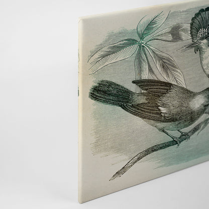 Vögel Leinwandbild Grün Blau 90x60 DD120375 Keilrahmenbild Wandbild Leinwand