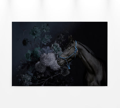 Leinwandbild Blumen Pferd Blau Schwarz Grau  90x60 DD120391 Keilrahmen Wandbild