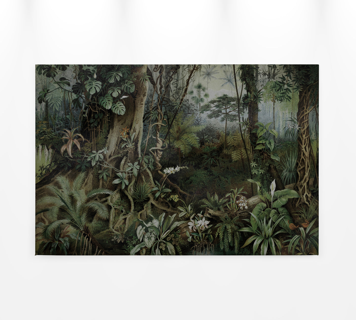 Dschungel Leinwandbild Grün 90x60 DD120393 Keilrahmen Wandbild Leinwand Urwald