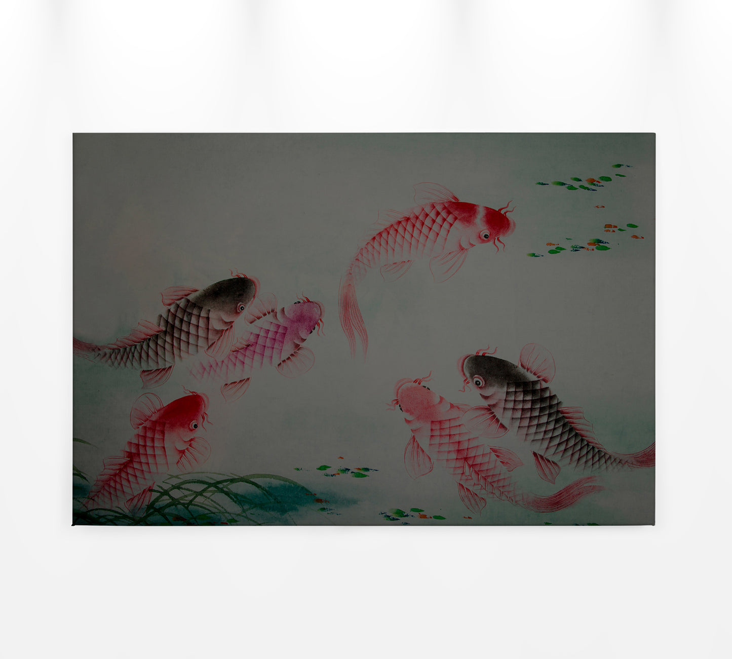 Fische Leinwandbild Grau Rot 90x60 DD120400 Keilrahmenbild Kois Tiere Wandbild