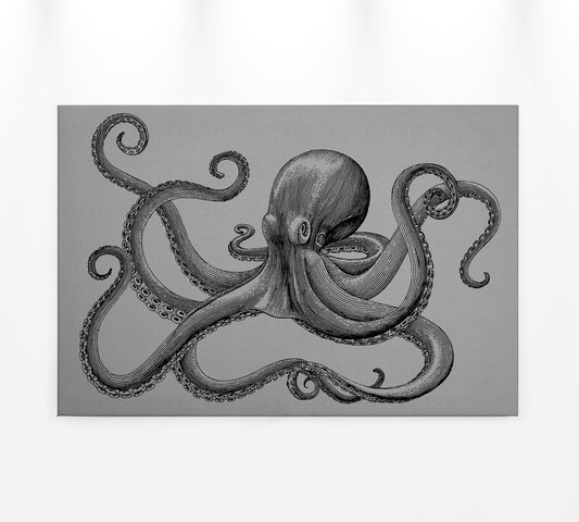 Leinwandbild Krake Grau Schwarz 90x60 DD120495 Keilrahmenbild Wandbild Leinwand