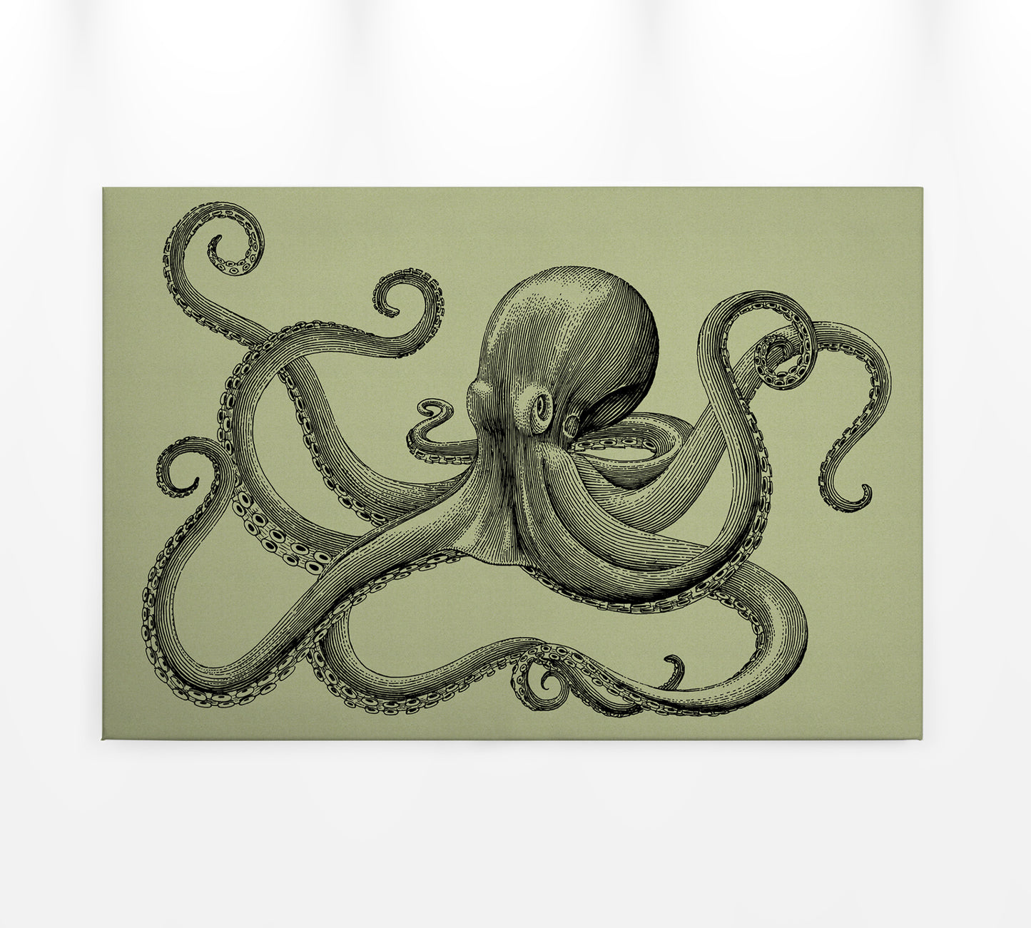 Leinwandbild Krake Rün Schwarz Grau 90x60 DD120496 Keilrahmen Wandbild Leinwand