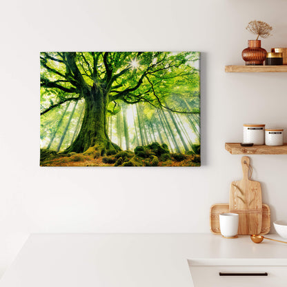Leinwandbild Baum Grün Braun 70x50 DD123012 Keilrahmenbild Wandbild Leinwand