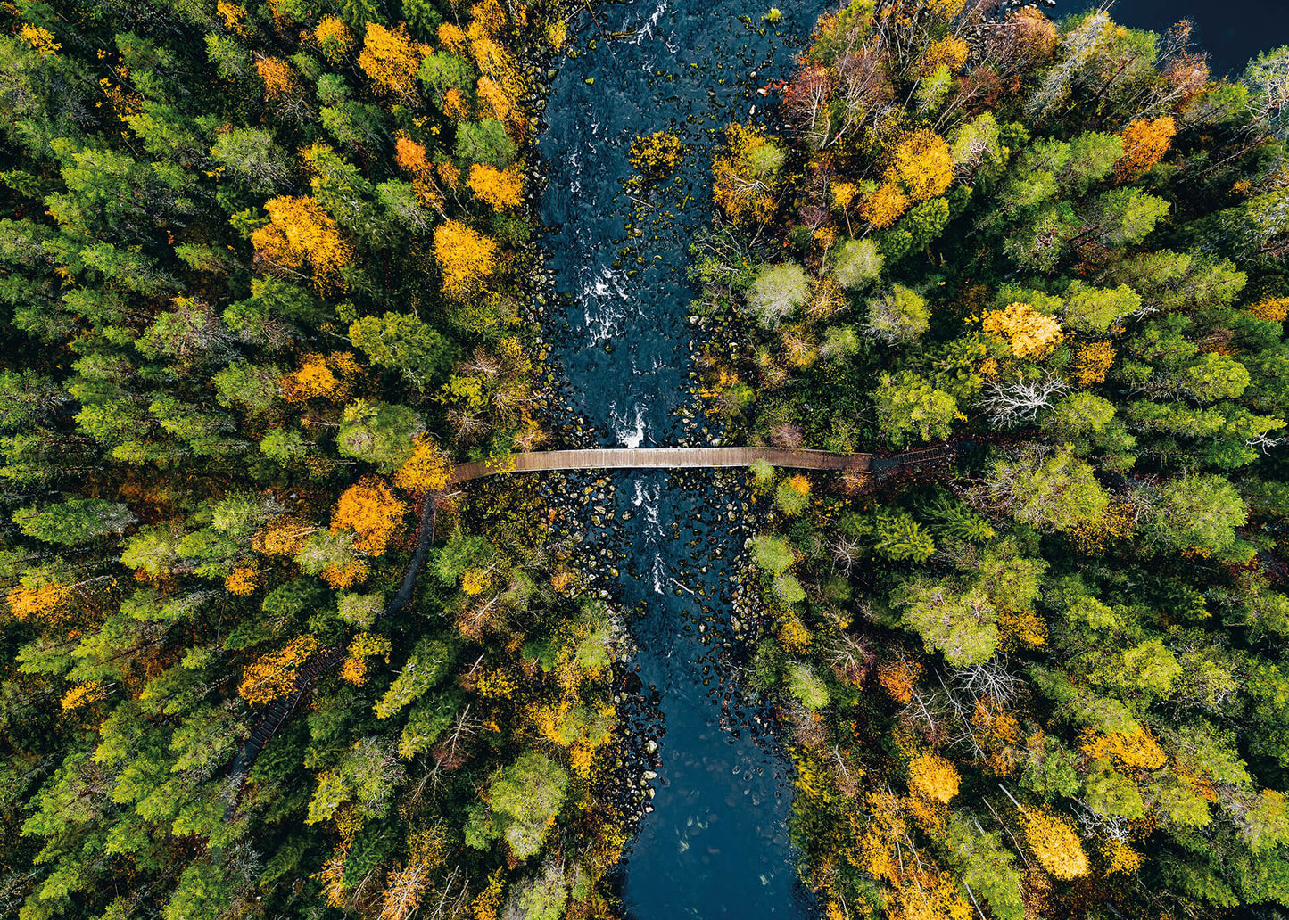 Leinwandbild Wald Fluss Grün 70x50 DD123016 Keilrahmenbild Wandbild Leinwand