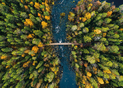 Leinwandbild Wald Fluss Grün 70x50 DD123016 Keilrahmenbild Wandbild Leinwand