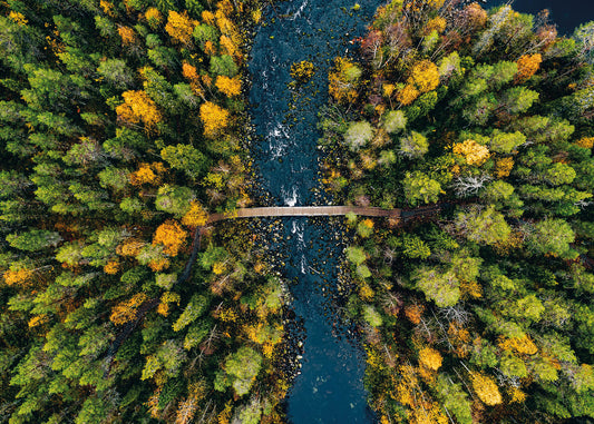 Leinwandbild Wald Fluss Grün 70x50 DD123016 Keilrahmenbild Wandbild Leinwand